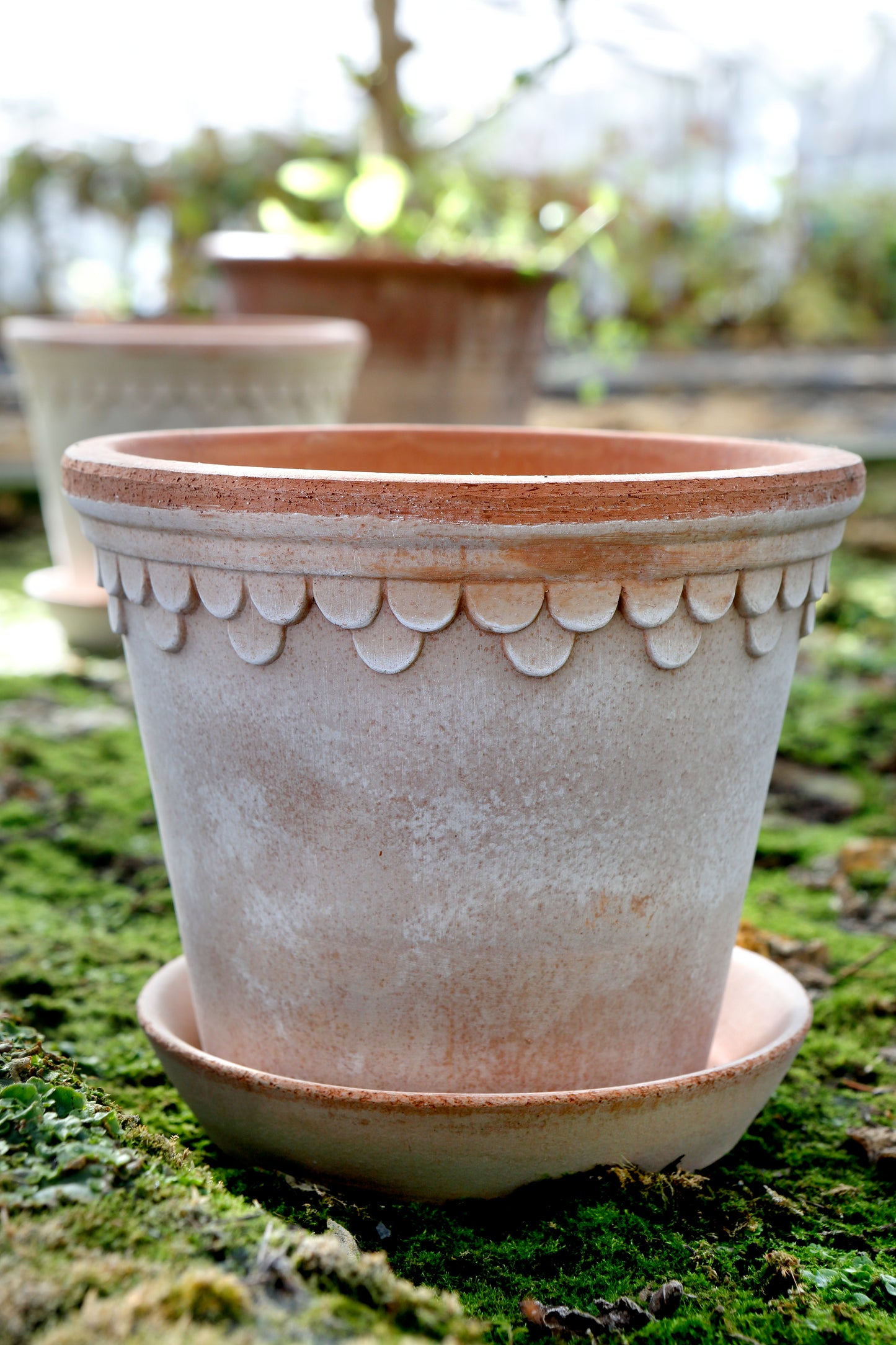 Bergs Potter / Copenhagen Raw Pot & Saucer / Rosa / 35cm