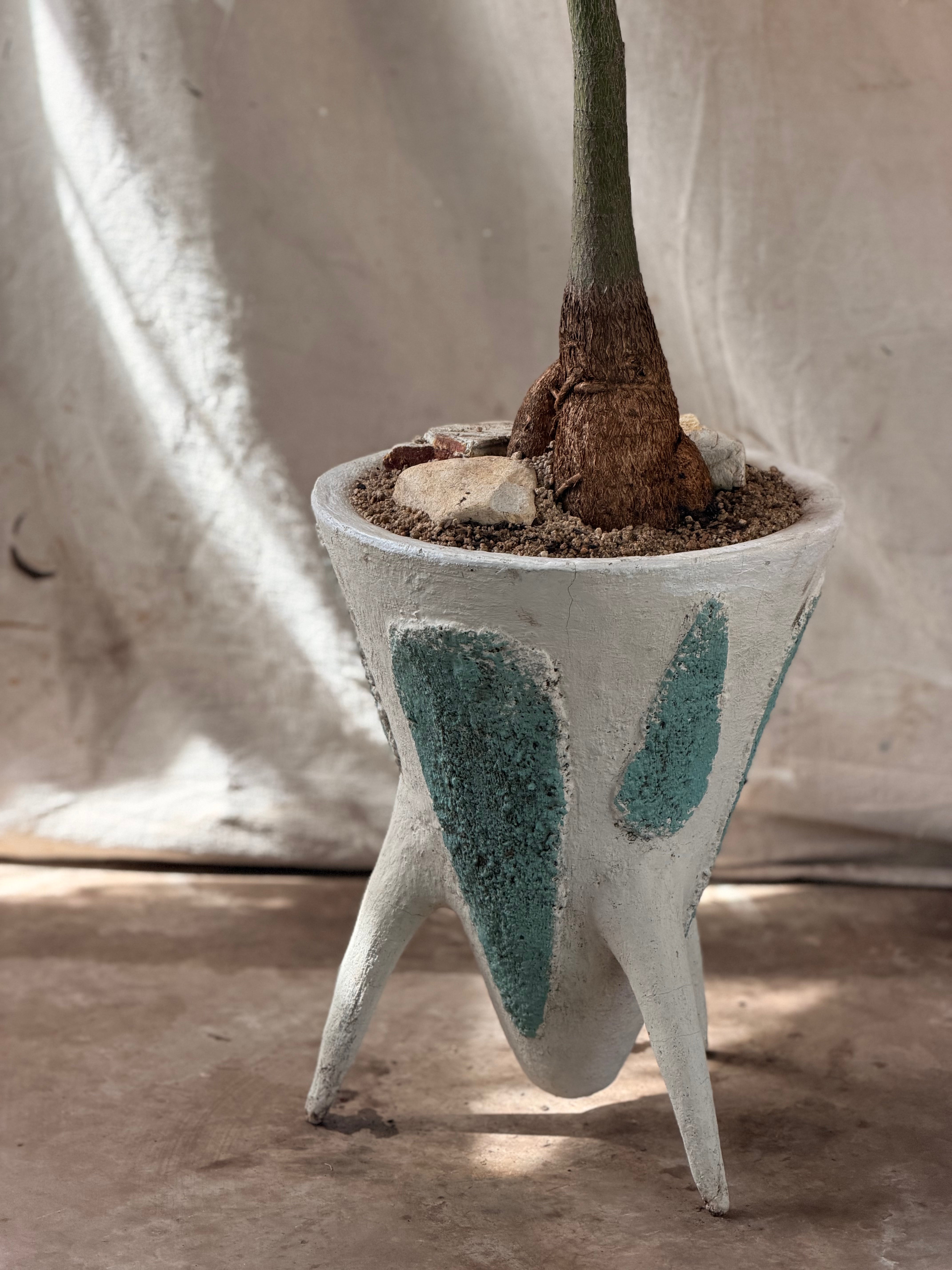 Queensland Bottle Tree (Brachychiton rupestris) in Tripod Sputnik Planter w Blue Relief, circa 1960s