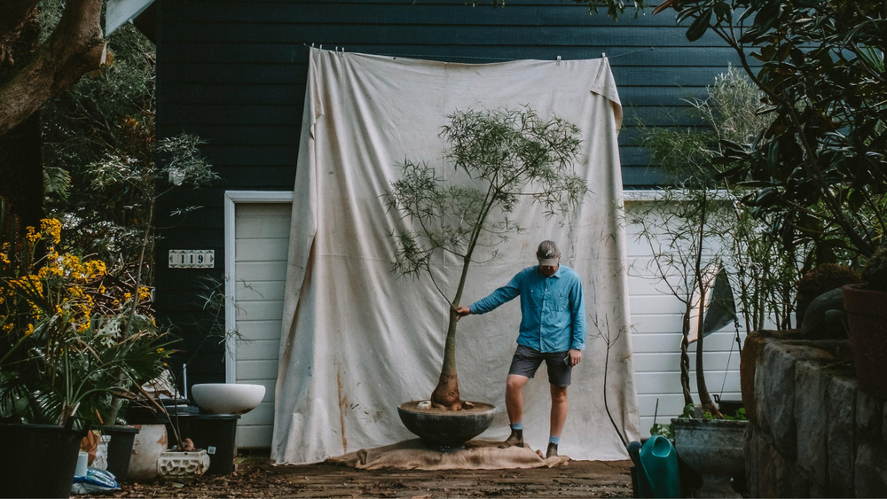 Demeter Plants Sydney