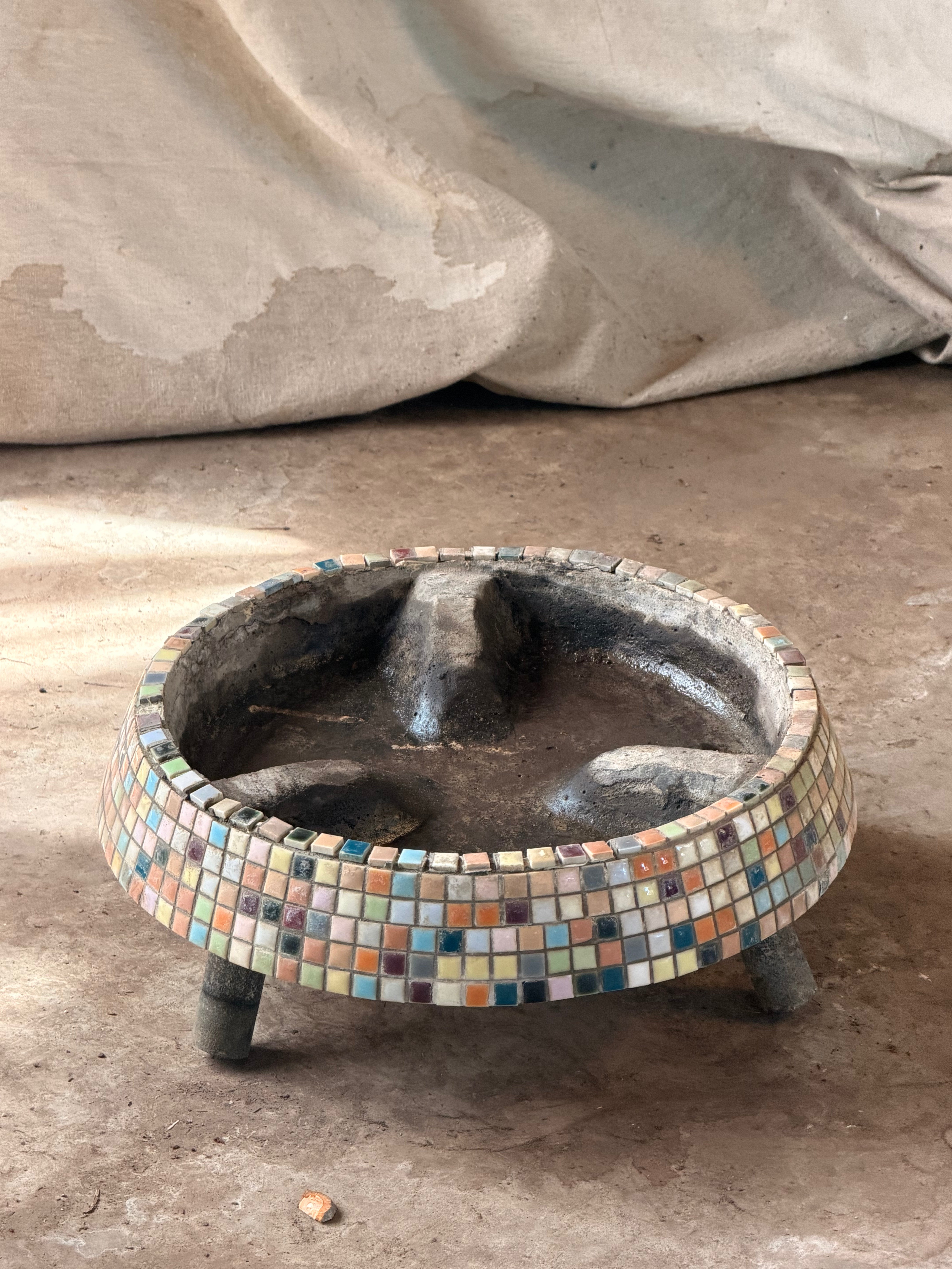Queensland Bottle Tree (Brachychiton rupestris) in Mosaic Planter circa 1960s