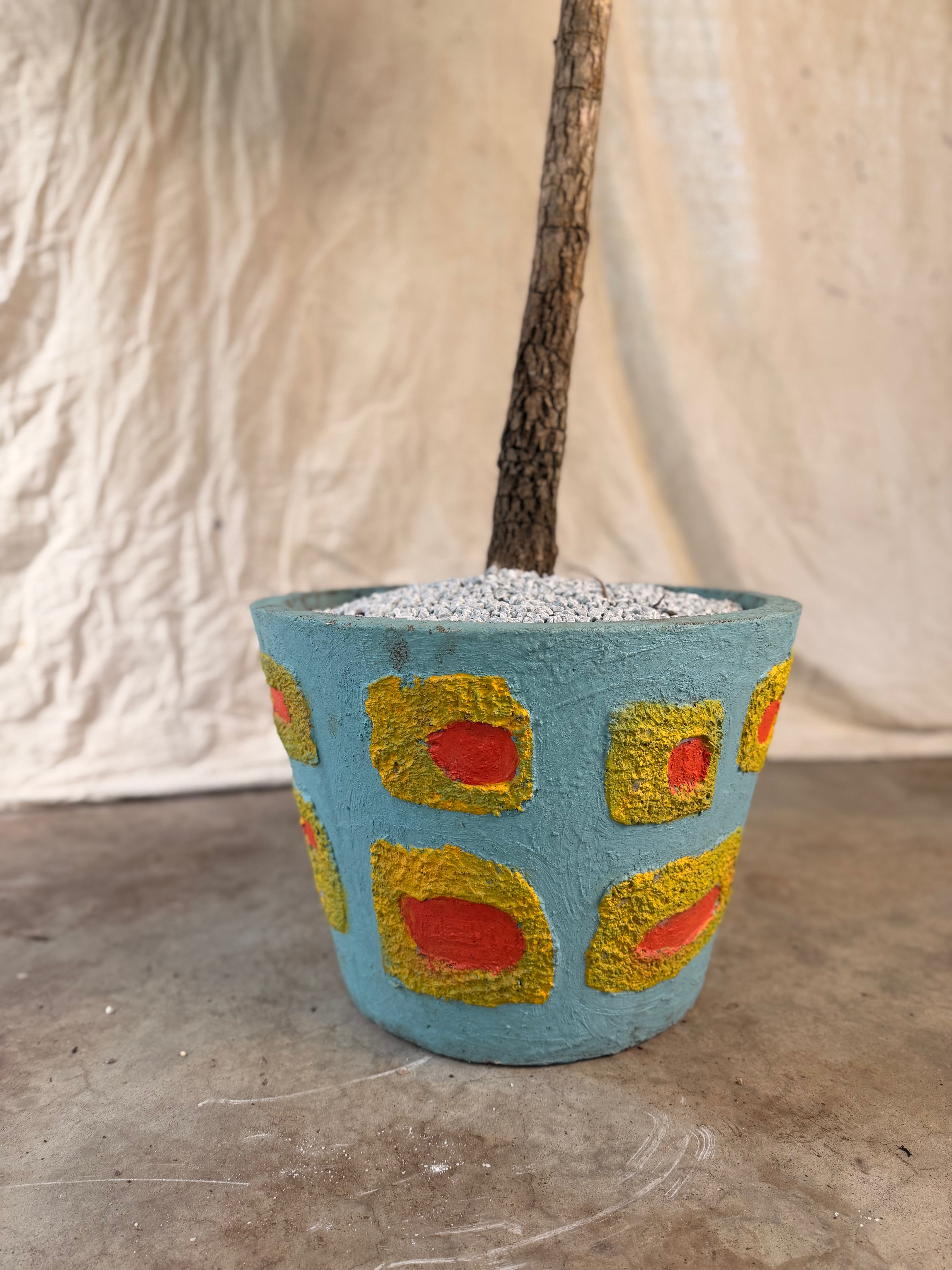 Australian Umbrella Tree (Schefflera actinophylla) in Blue Pot with Raised Yellow and Red Relief, circa 1960s